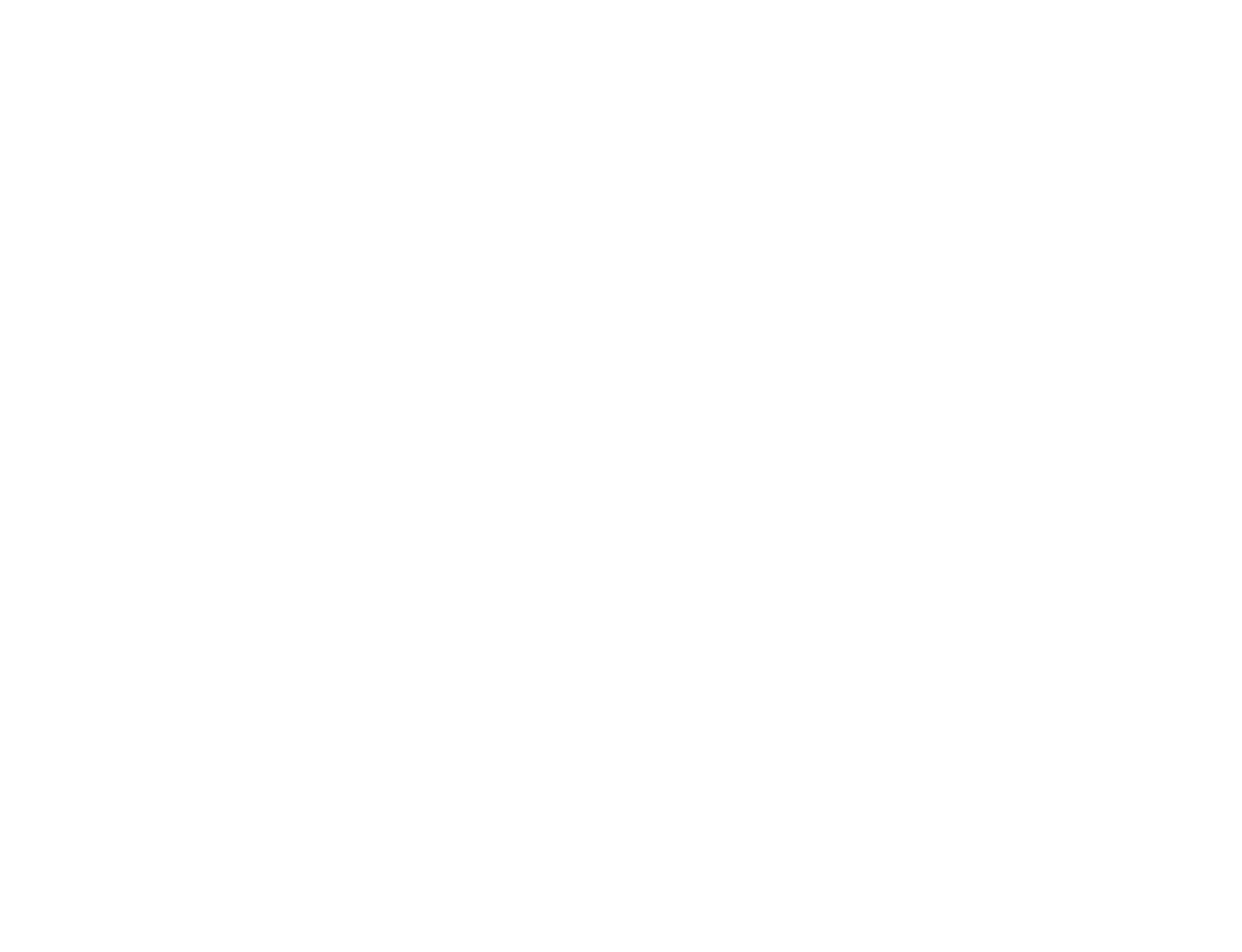 Silício Brasil — We solve